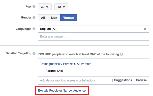 Screen Shot of Audience Segment Options in Facebook