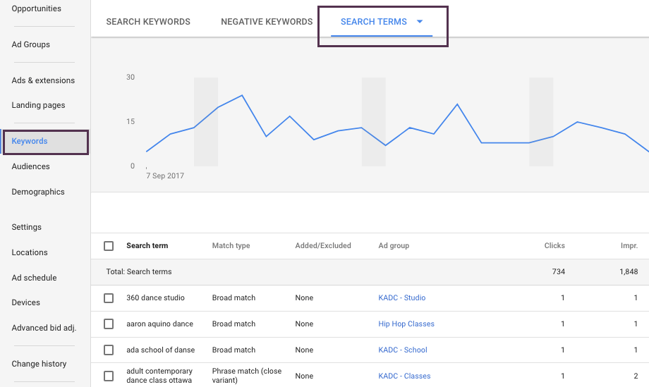 Screen Shot of Google Ads Search Terms